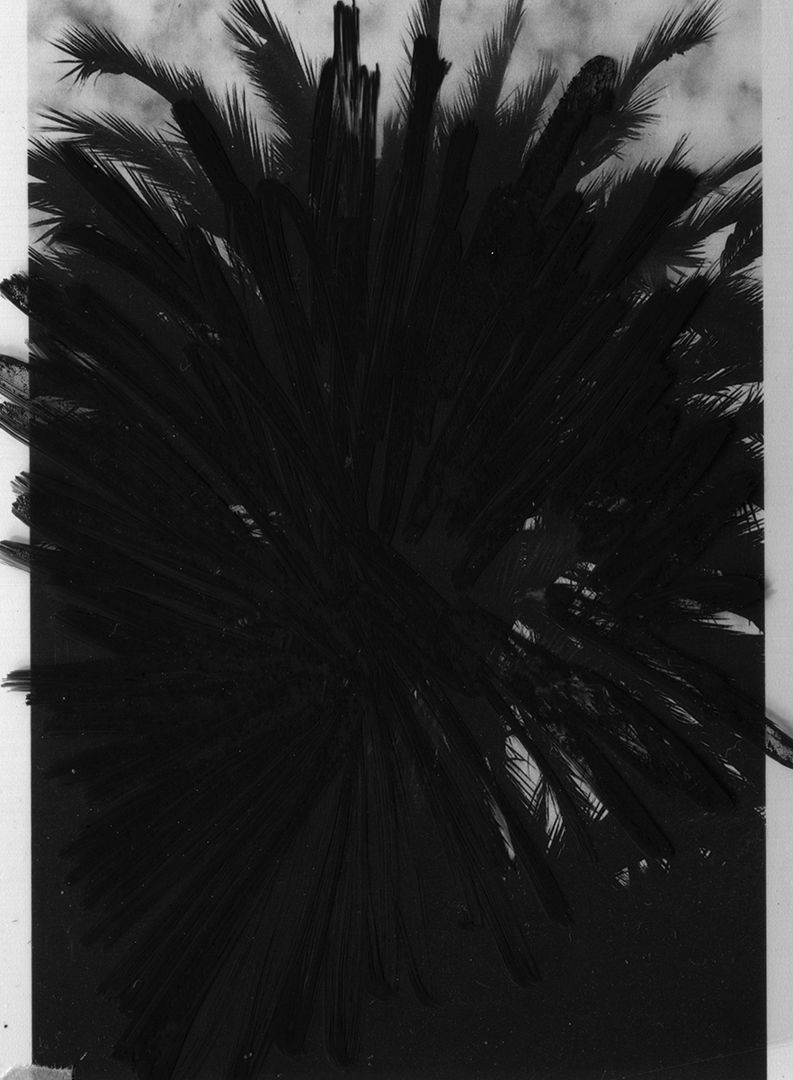 BC.B, archival pigment print, 2022