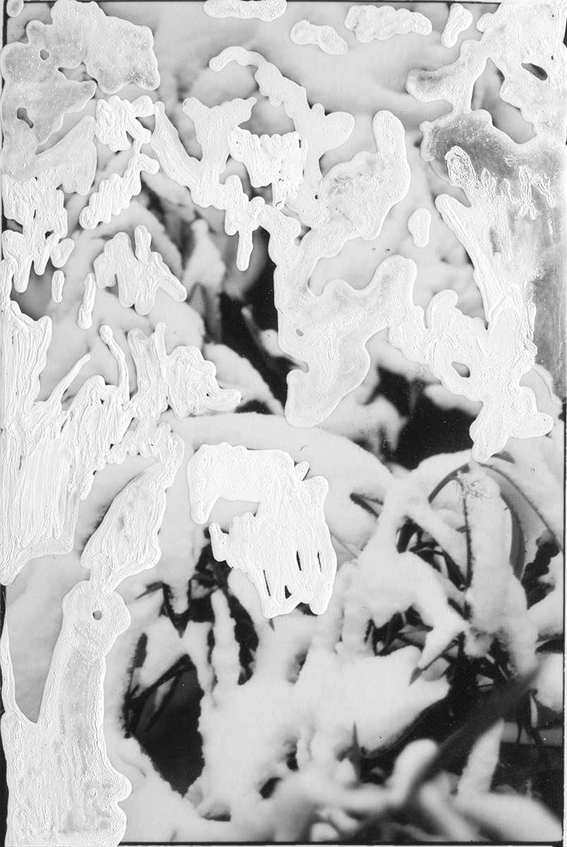 GE.X, archival pigment print, 2022